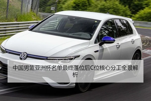 中国男篮亚洲杯名单最终落位后C位核心分工全景解析